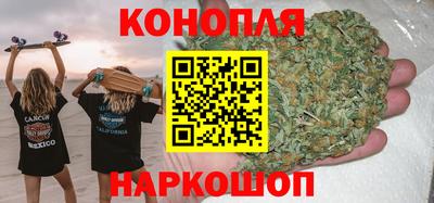прущие грибы Пыть-Ях