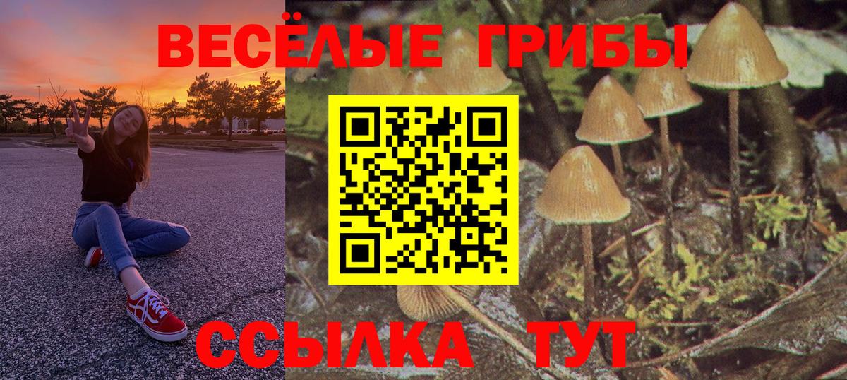 Галлюциногенные грибы мицелий Советский