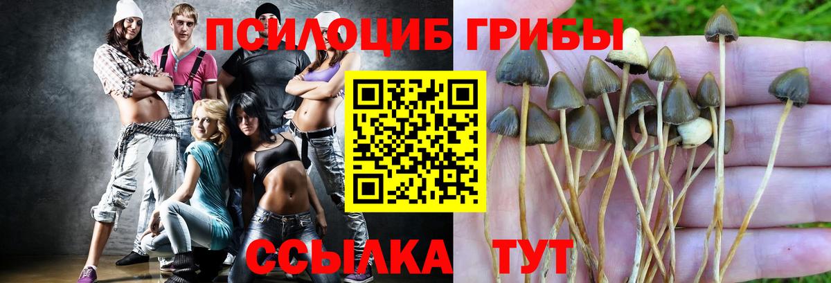 Псилоцибиновые грибы Psilocybine cubensis  Псилоцибиновые грибы Psilocybe  цены   Советский  Вход с VPN 